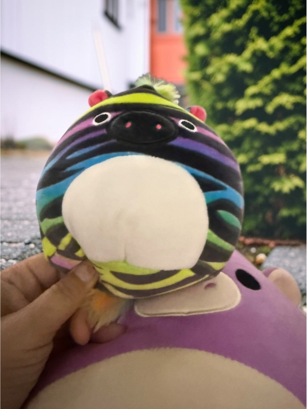 Squishmallows Safiyah Rainbow Zebra Plush